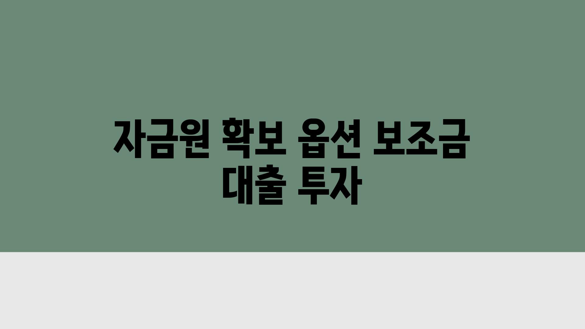 자금원 확보 옵션 보조금 대출 투자