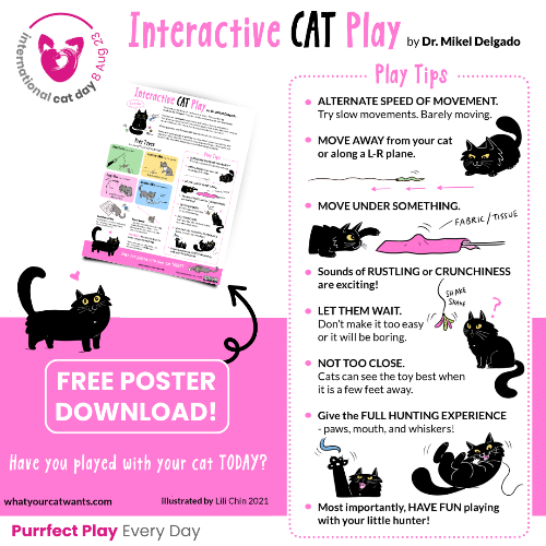 매일 고양이와 놀아주기 캠페인 (출처: International Cat Care 홈페이지)
