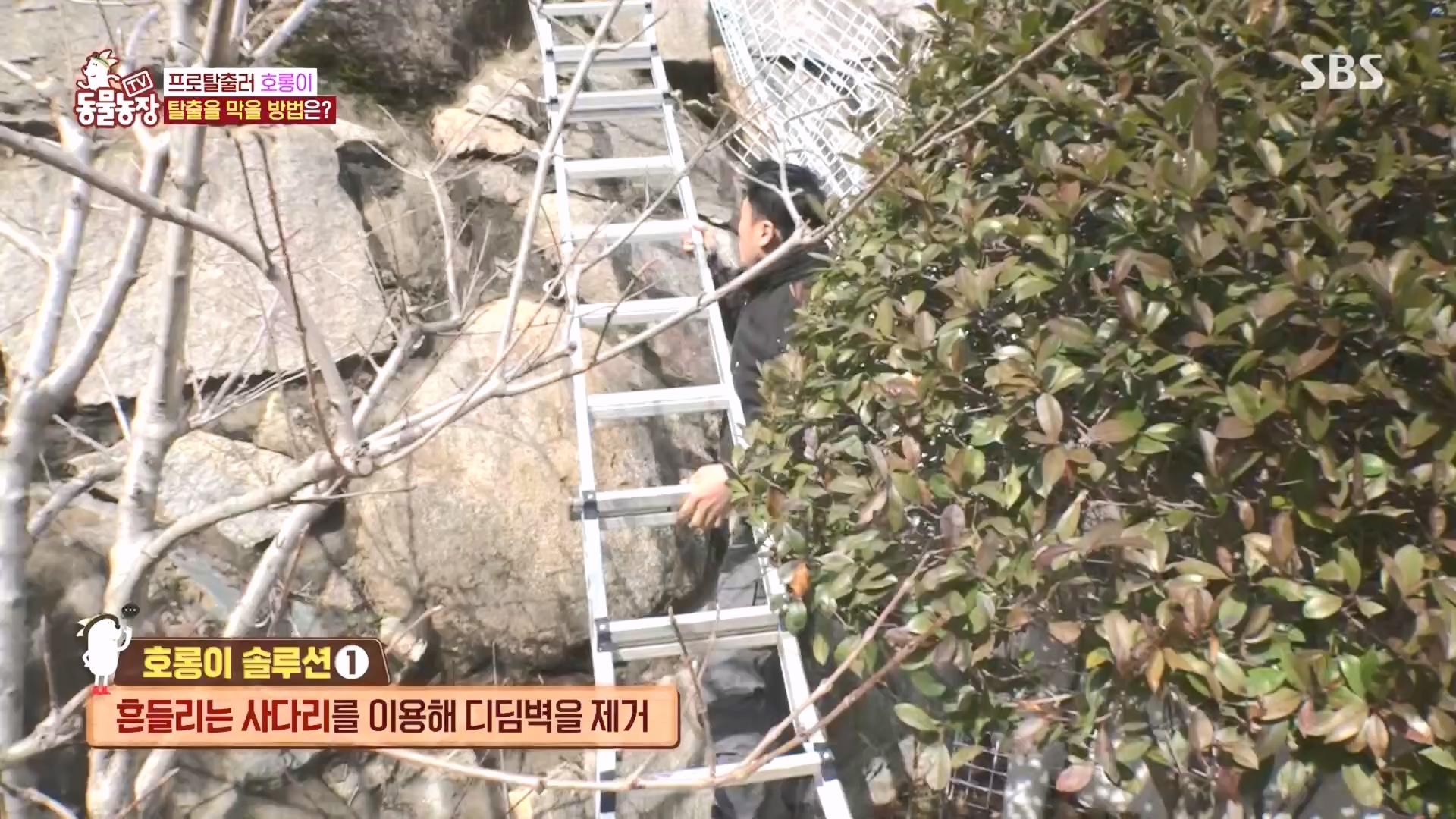 TV 동물농장.E1160.240225p.H264-F1RST.mp4_20240225_165134.779.jpg