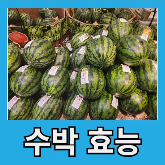 수박 효능