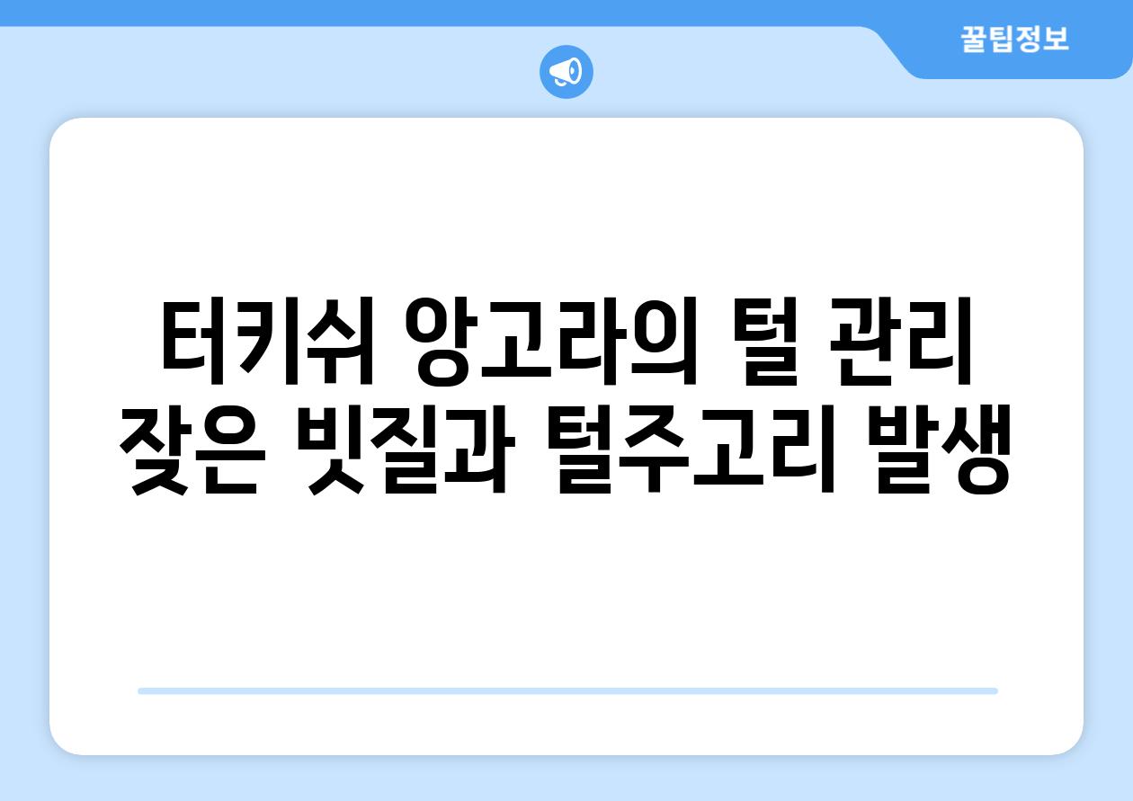 터키쉬 앙고라의 털 관리 잦은 빗질과 털주고리 발생