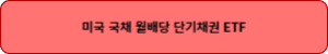 미국 국채 월배당 단기채권 ETF