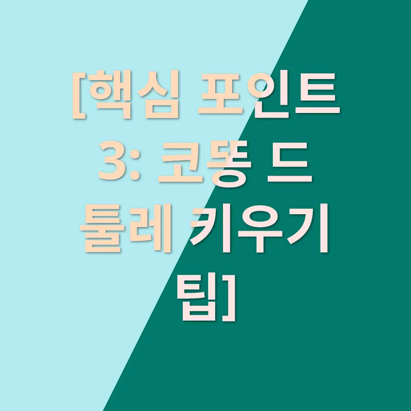 코똥 드 툴레 반양_3
