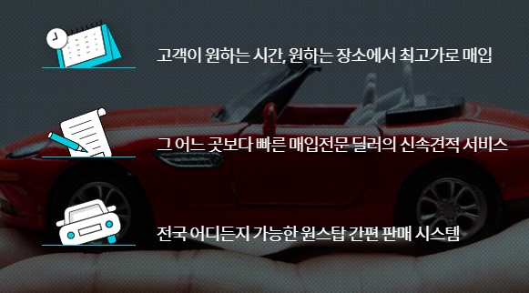 셀플라이 오토 어드바이저 최적 견적 상담