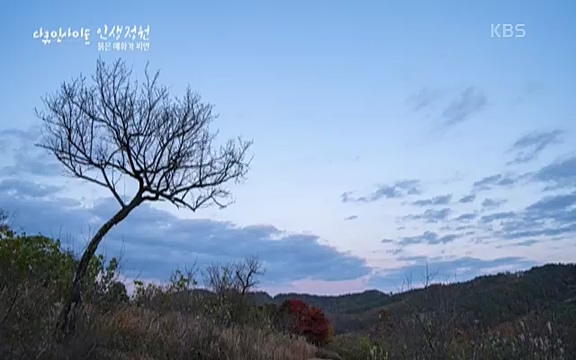 다큐 인사이트 - KBS인생정원 - 붉은 매화가 피면] 봄이면 가장 먼저, 그리고 가장 붉게 피어나는 강인한 소성의 매화.ts_20220818_205155.298.jpg