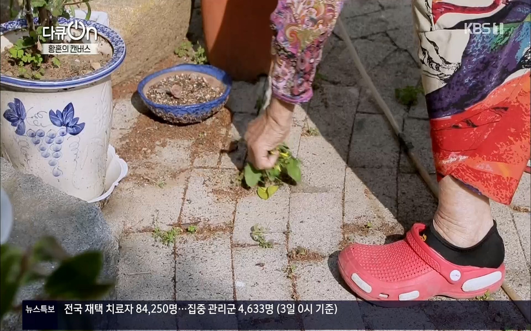 다큐 On.E142.220603p.H264-F1RST.mp4_20220604_175758.322.jpg