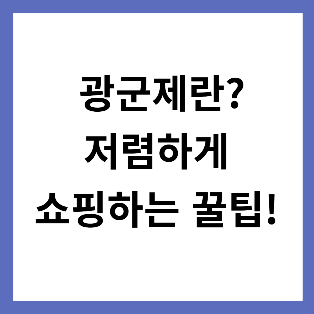 광군제 뜻