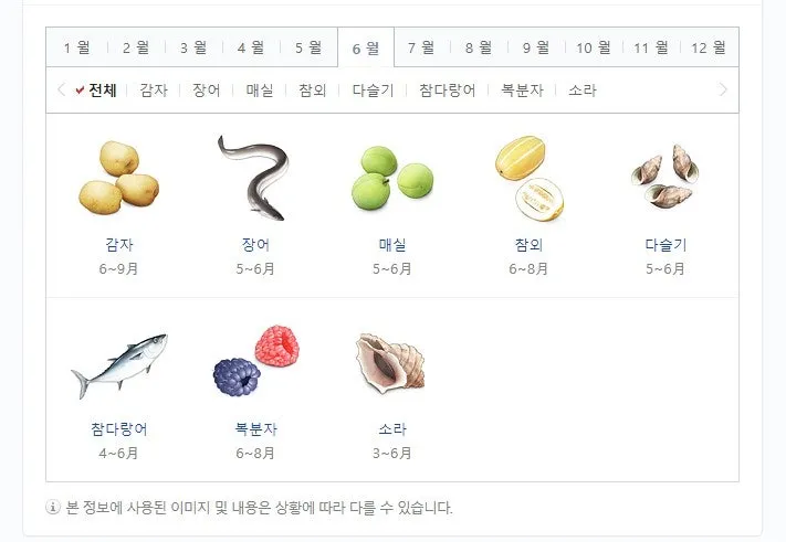 6월 제철 음식 추천 종류_9
