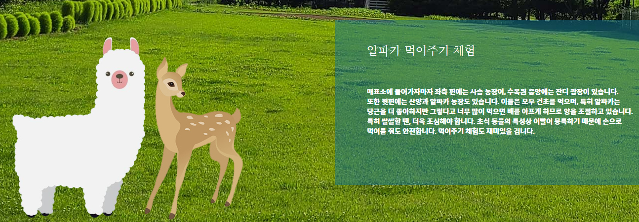 피나클랜드 봄꽃축제