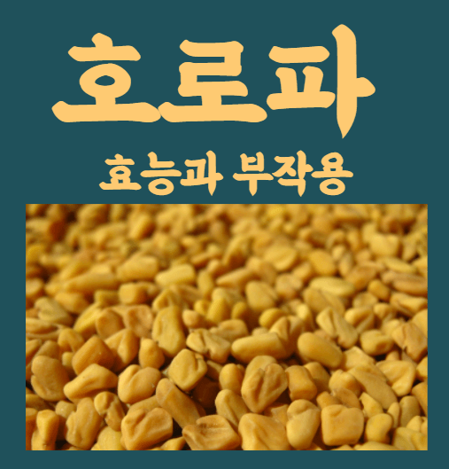  호로파 효능과 부작용, 어떻게 먹을까?