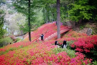 장흥 가볼만한곳 베스트10 현지인 추천 필수코스_4
