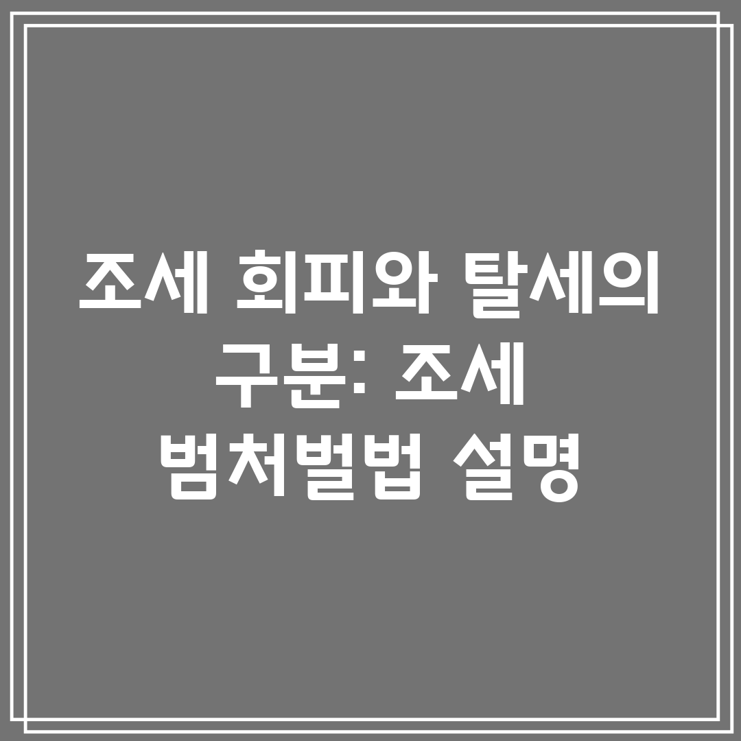 조세 회피와 탈세의 구분 조세 범처벌법 설명