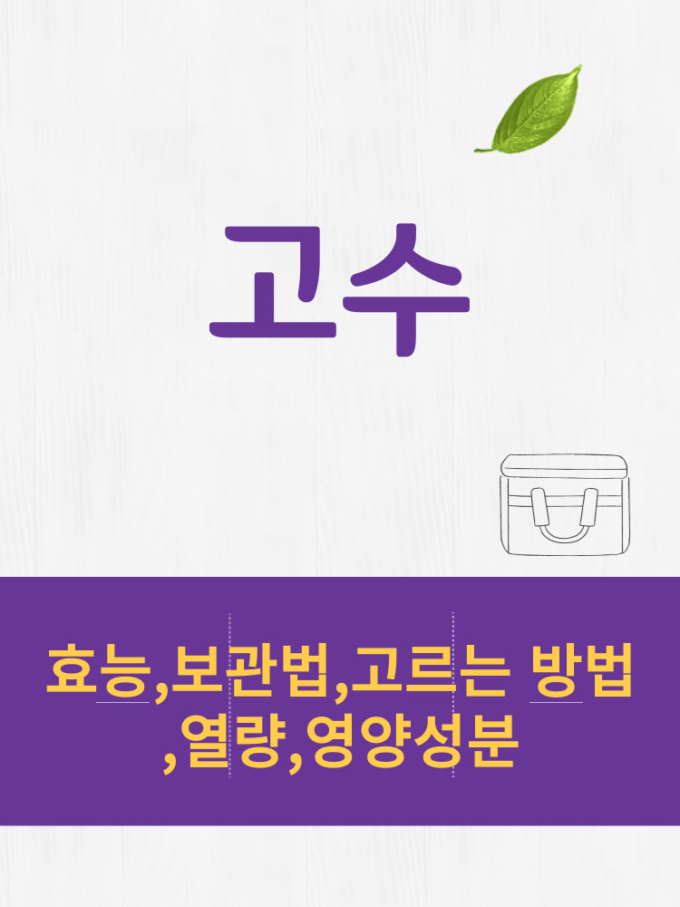  고수 효능 및 열량과 보관법 칼로리 총정리 