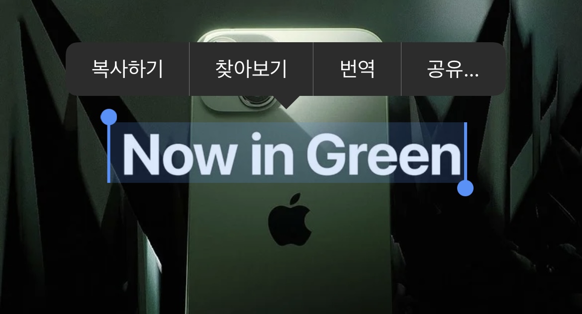  아이폰 사진, 이미지에서 텍스트 추출 변환하는 방법 총정리