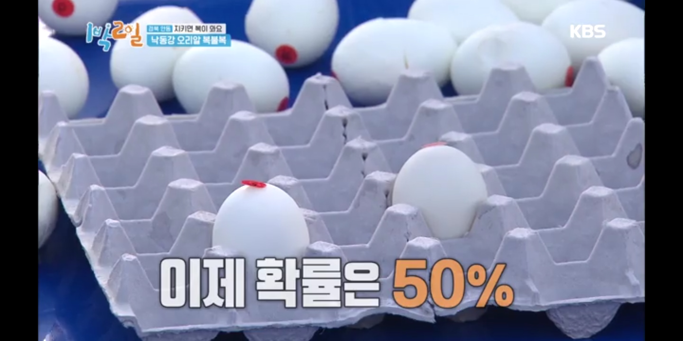  07. 1박2일 시즌4 경북 안동