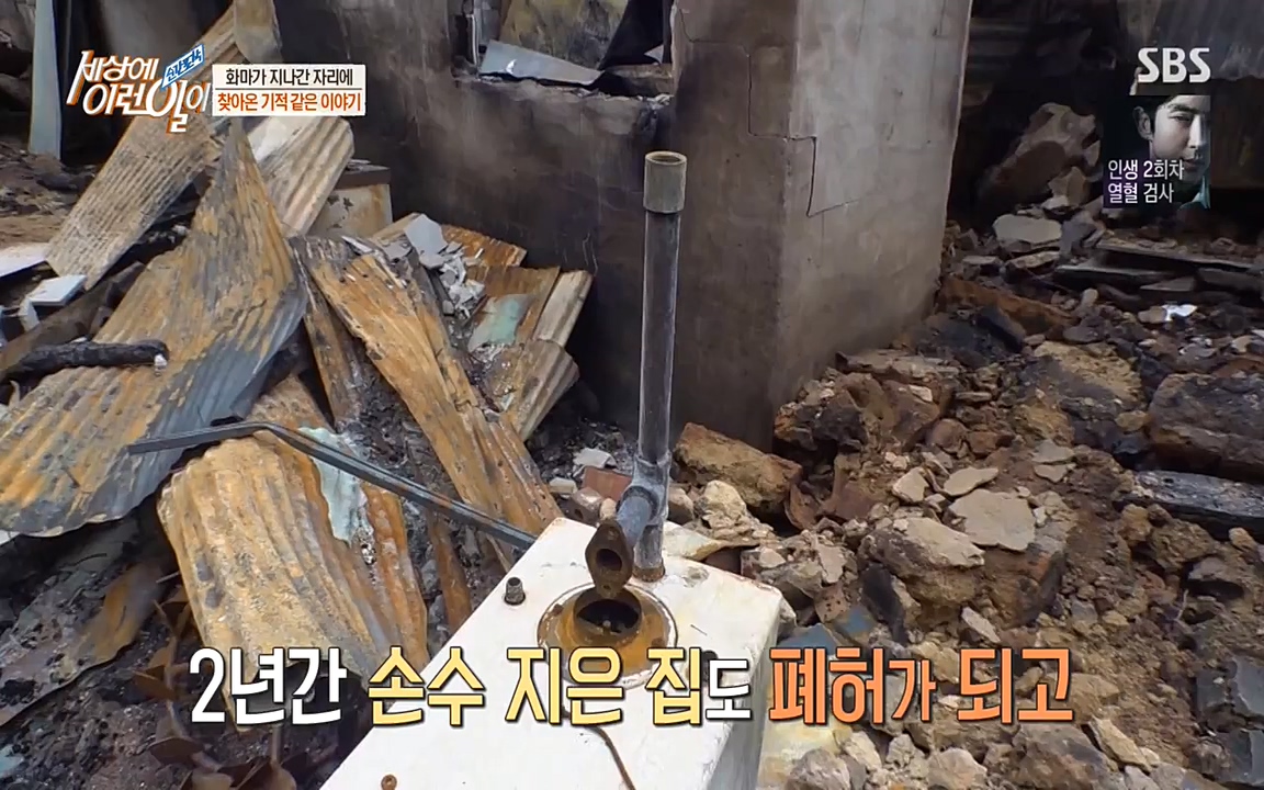 순간포착 세상에 이런일이.E1174.220406p-NEXT.mp4_20220406_174455.714.jpg
