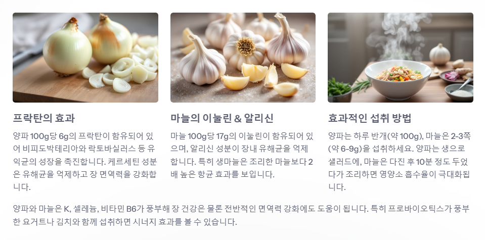 양파 마늘