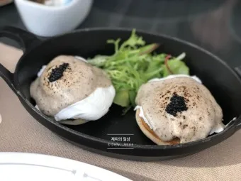 왈도프 분양가 성격 특징 장단점 사료추천 가격_5