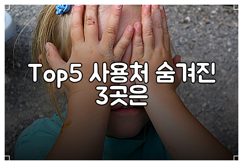 Top5 사용처 숨겨진 3곳은