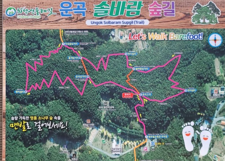 운곡솔바람숲길의 코스