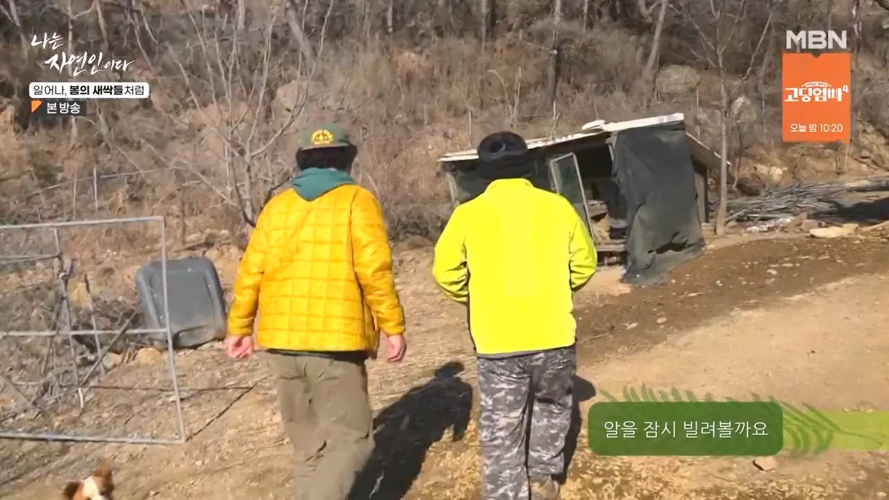 나는 자연인이다.E593.240215p-NEXT.mp4_20240215_200729.665.jpg