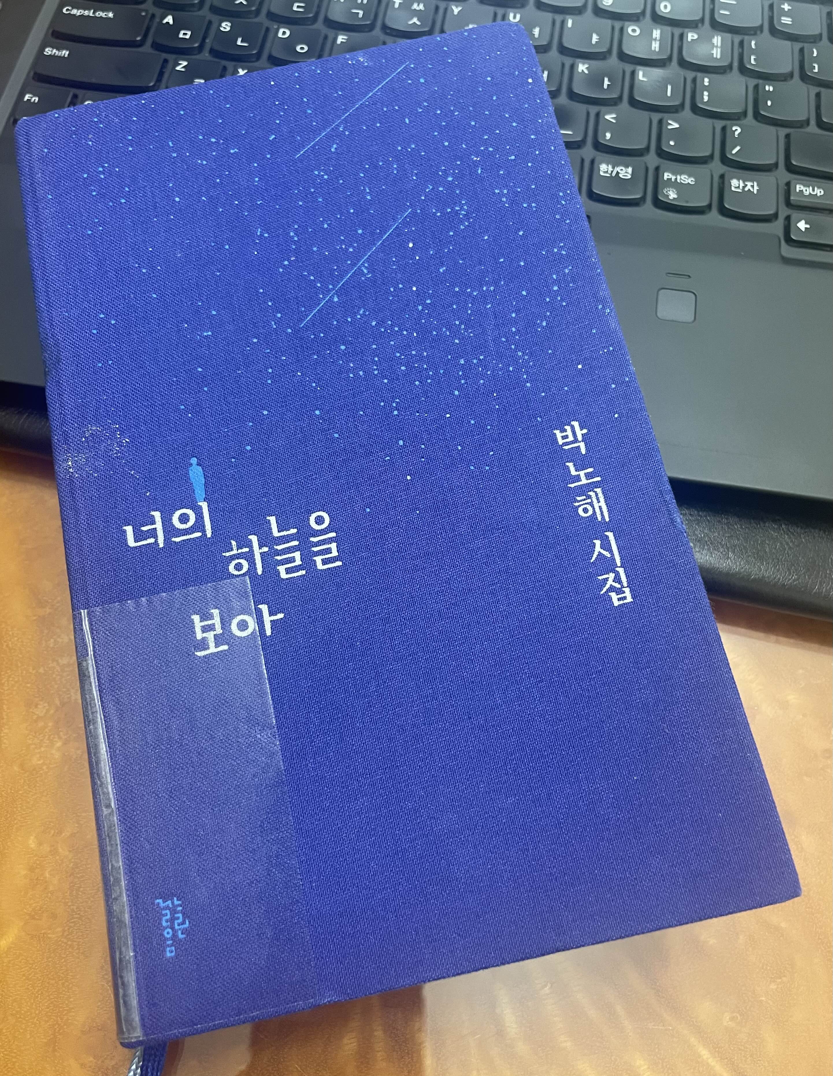  박노해 시 '너의 하늘을 보아', 박노해 시집 '너의 하늘을 보아' 中