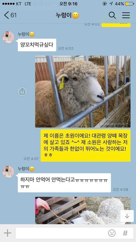  웃긴짤방ㅣ대관령 초원이