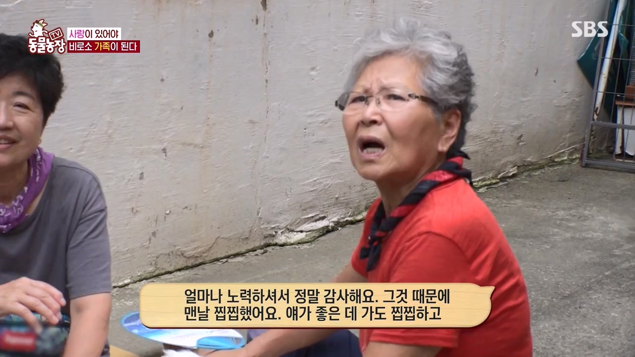 TV 동물농장.E1143.231030p-NEXT.mp4_20231029_164105.867.jpg