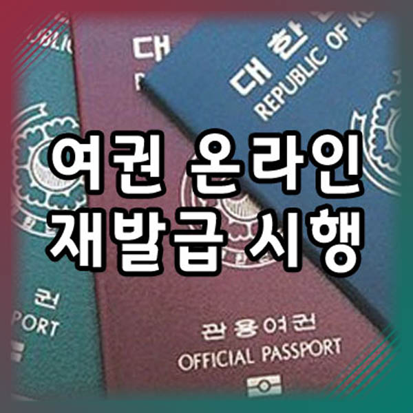  여권 온라인 재발급 시행