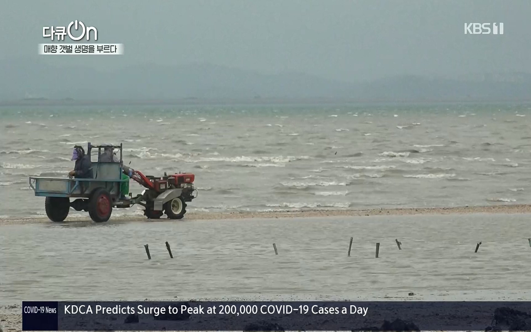 다큐 On.E151.220805p.H264-F1RST.mp4_20220806_193404.446.jpg