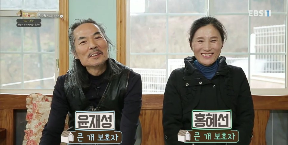 풍산개의치열한 혈투와 전쟁 - EBS 세상에 나쁜 개는 10