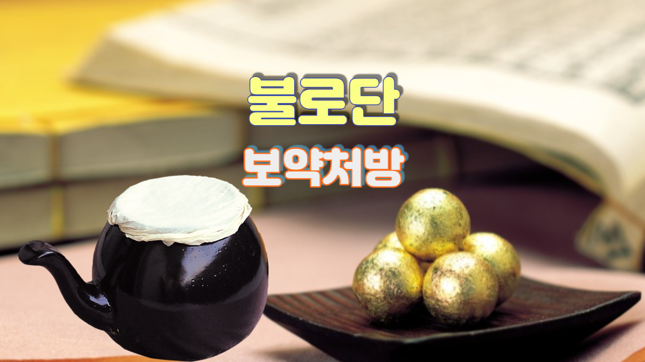 불로단 (보약처방)