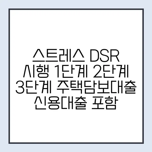 스트레스 DSR 시행 1단계 2단계 3단계 주택담보대출 신용대출 포함