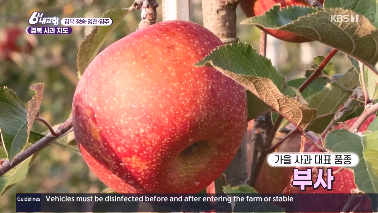 6시 내고향.E7907.231108p.H264-F1RST.mp4_20231108_204351.535.jpg