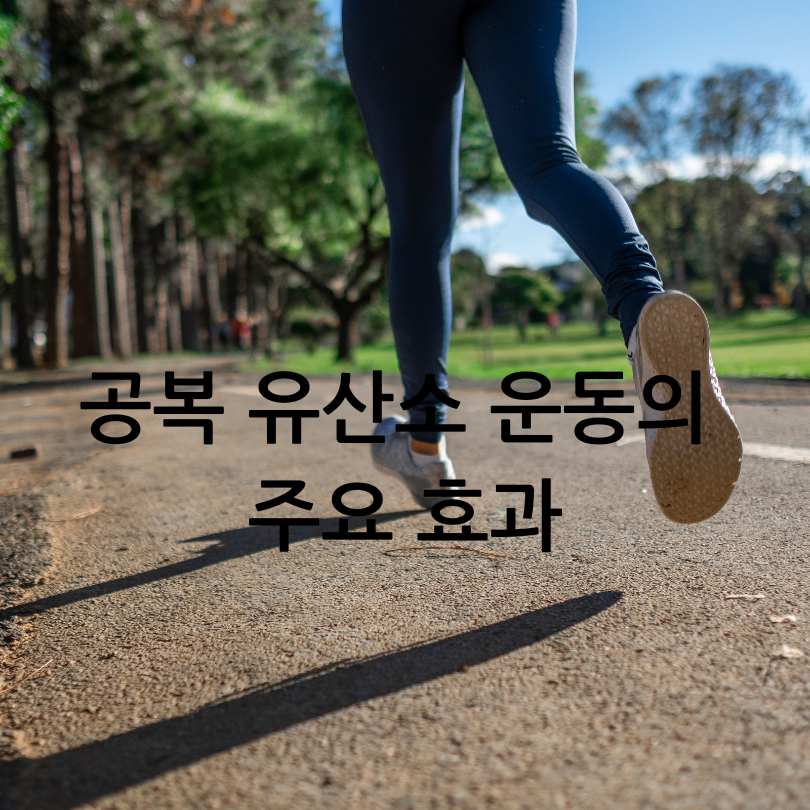 아침 공복 유산소 운동