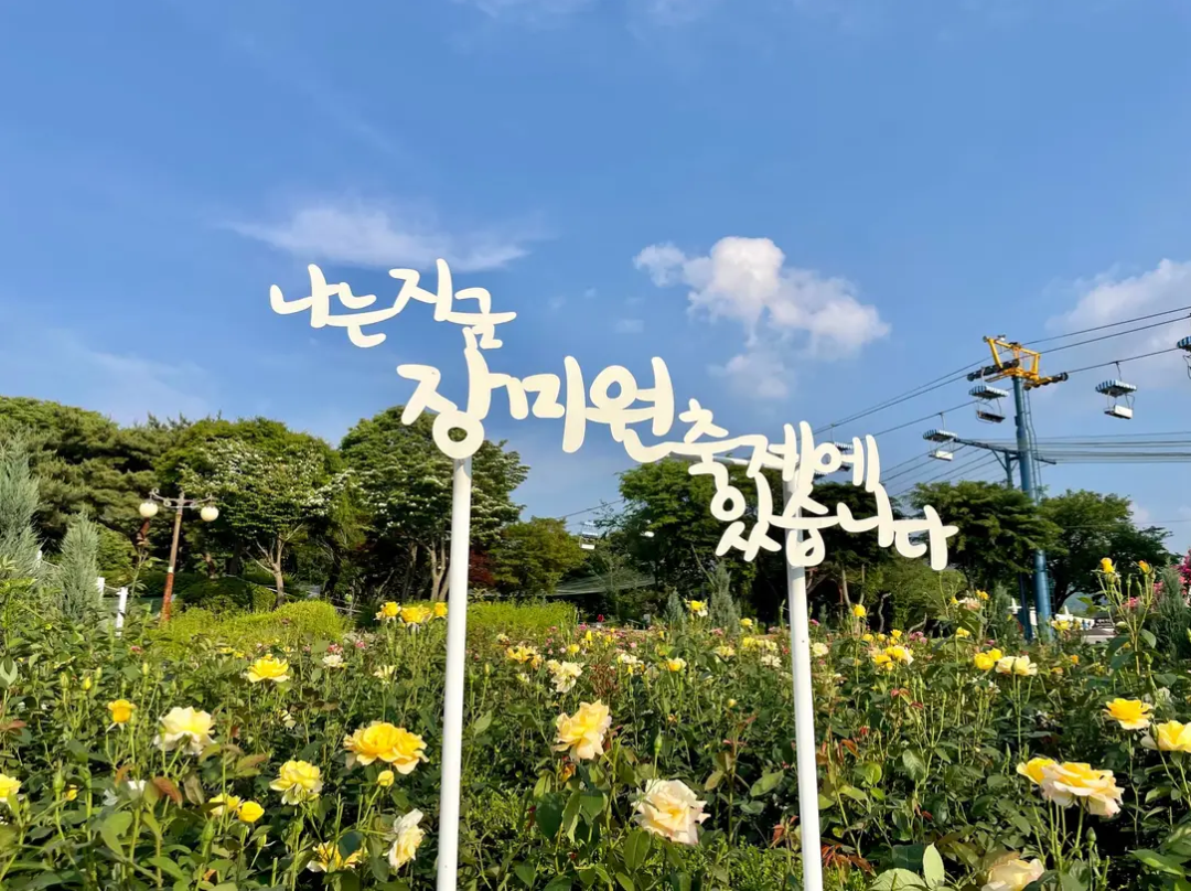  서울 축제 일정 체크하고 나들이 가요.