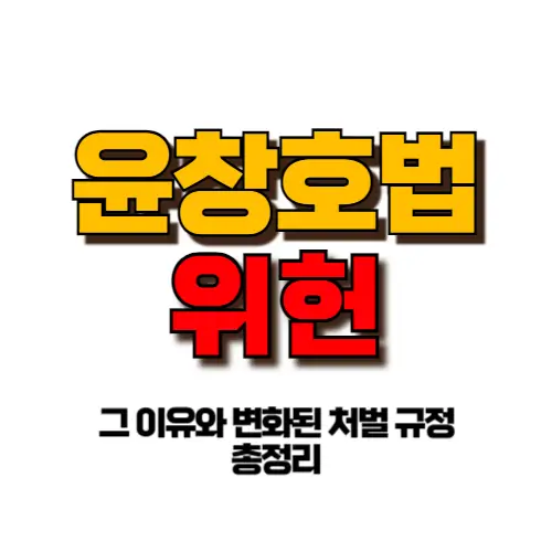 윤창호법 위헌 썸네일