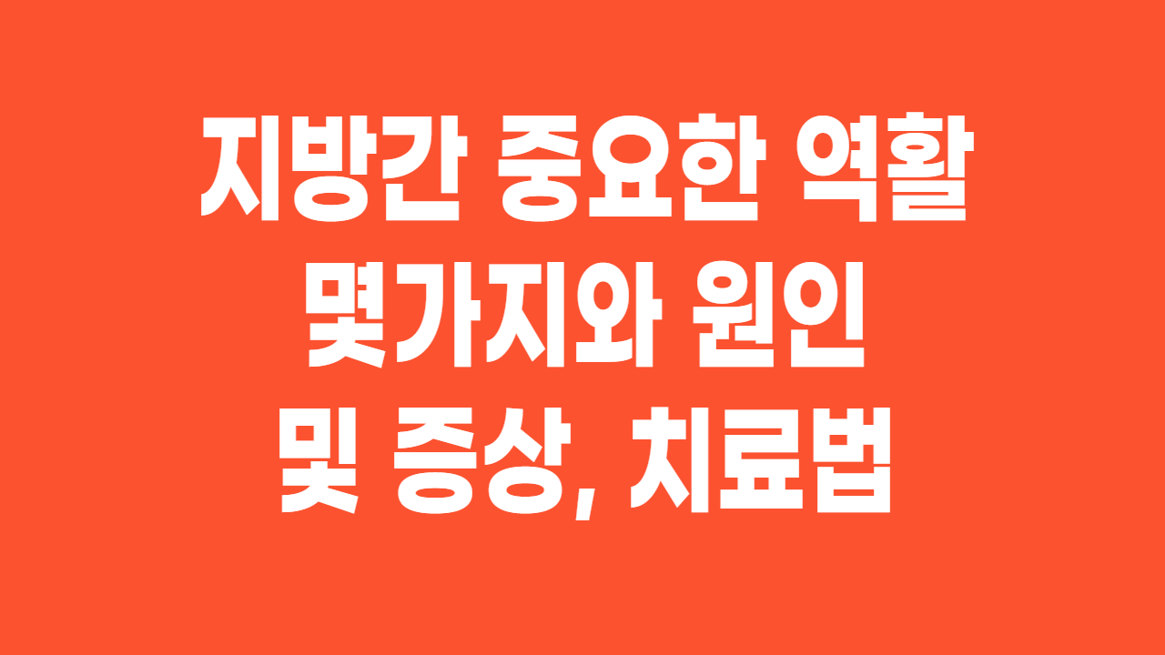  지방간(fatty liver)중요한 역활 몇가지와 원인 및 증상, 치료법