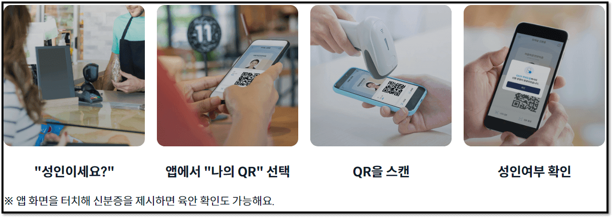 모바일 신분증 사용처