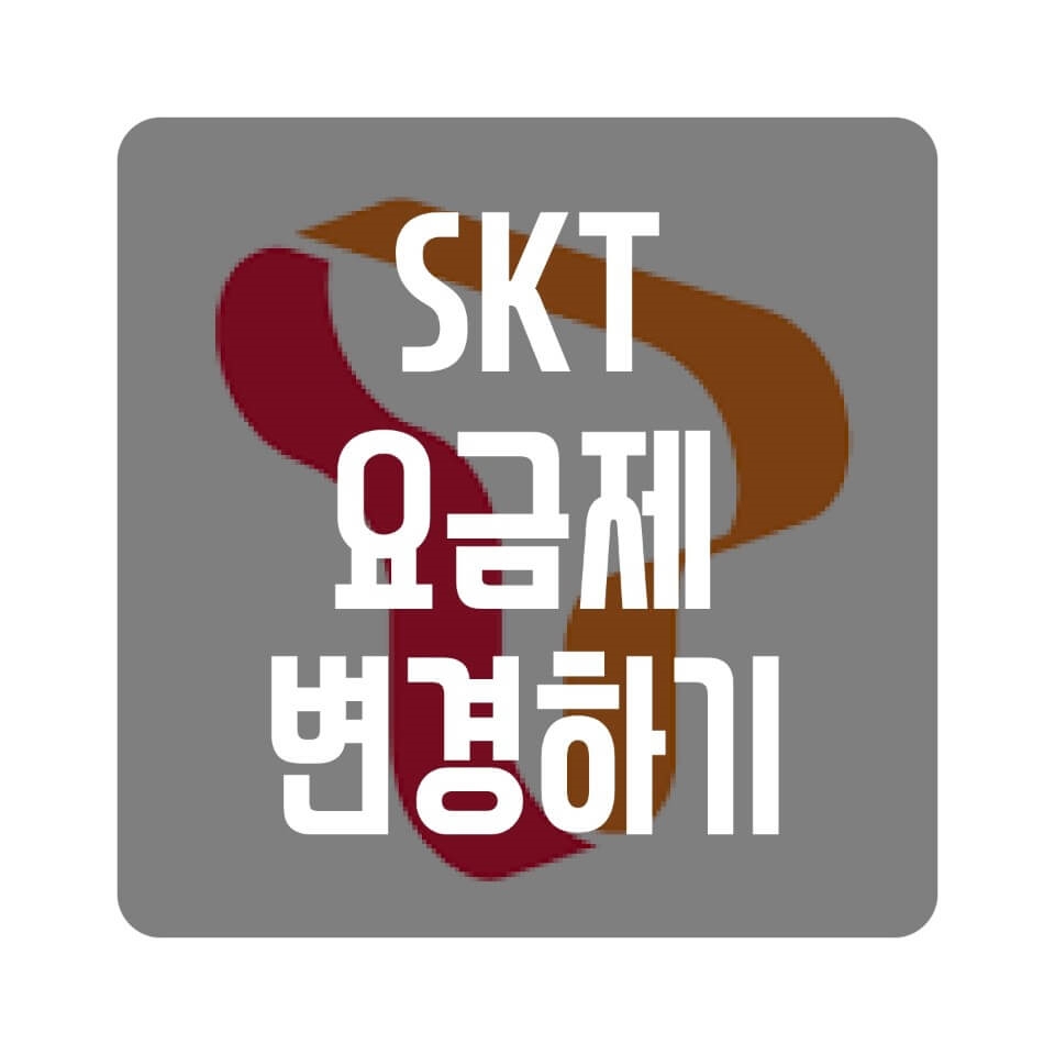  SKT 요금제 변경  총정리