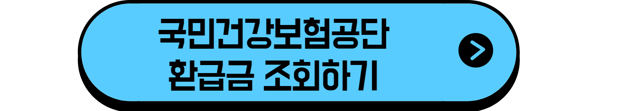국민건강보험공단환급금조회