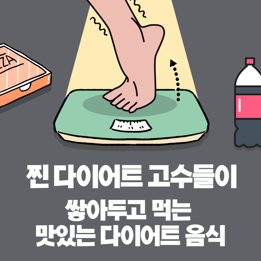  다이어트 식단표 참고 : 고수들이 냉장고에 쌓아두고 먹는 맛있는 다이어트 음식 5가지 추천