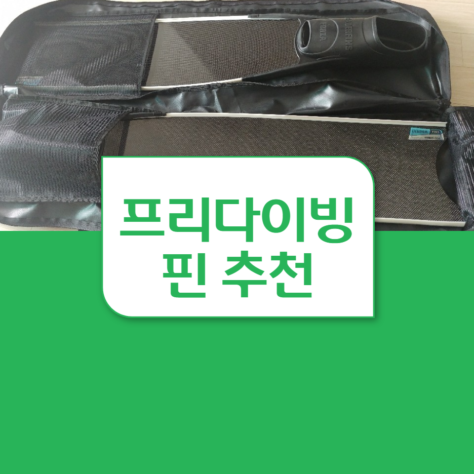  프리다이빙 핀 종류 및 추천 리더핀 아이스 카본핀 파이버 글라스