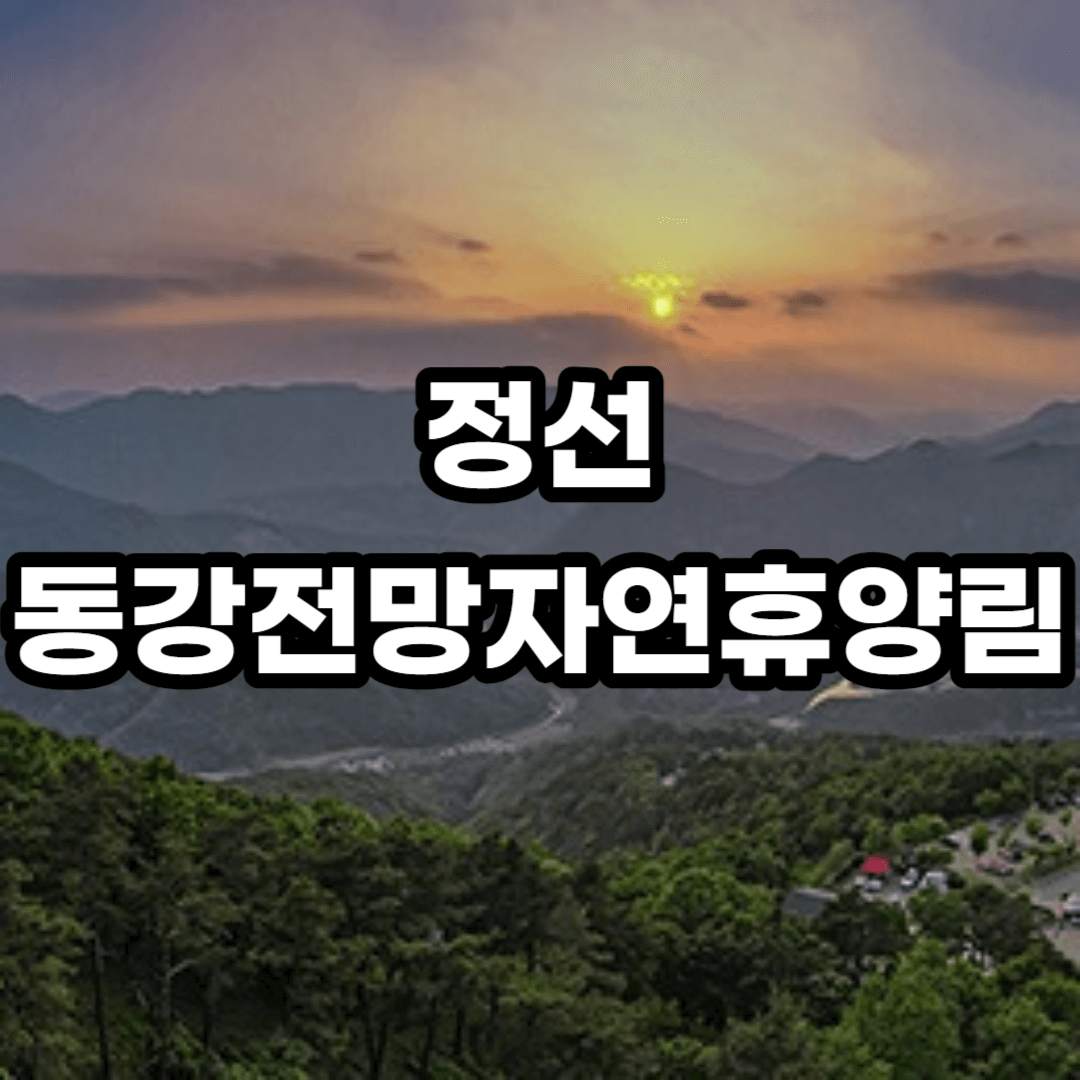 정선 동강전망자연휴양림