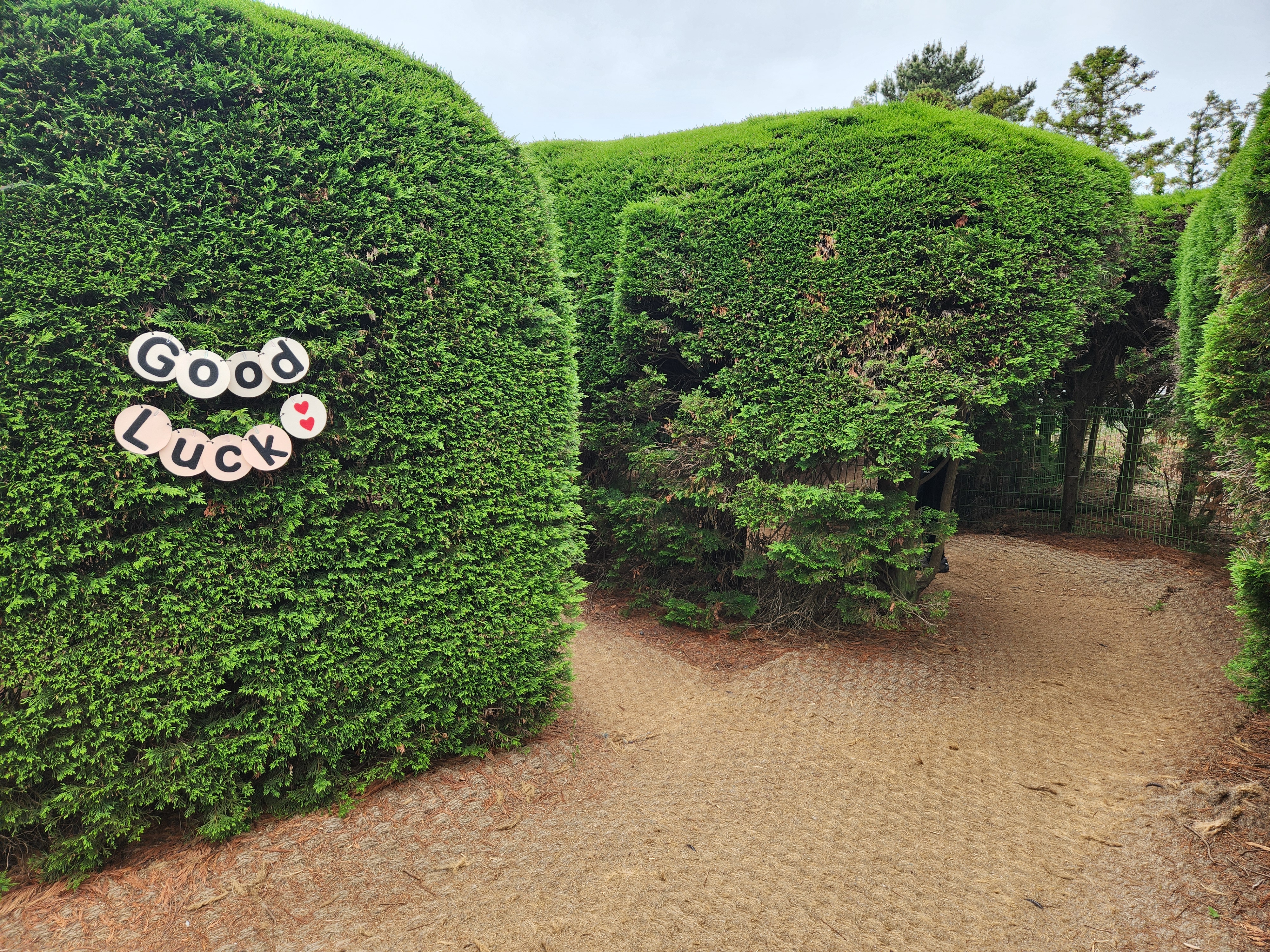 미로공원