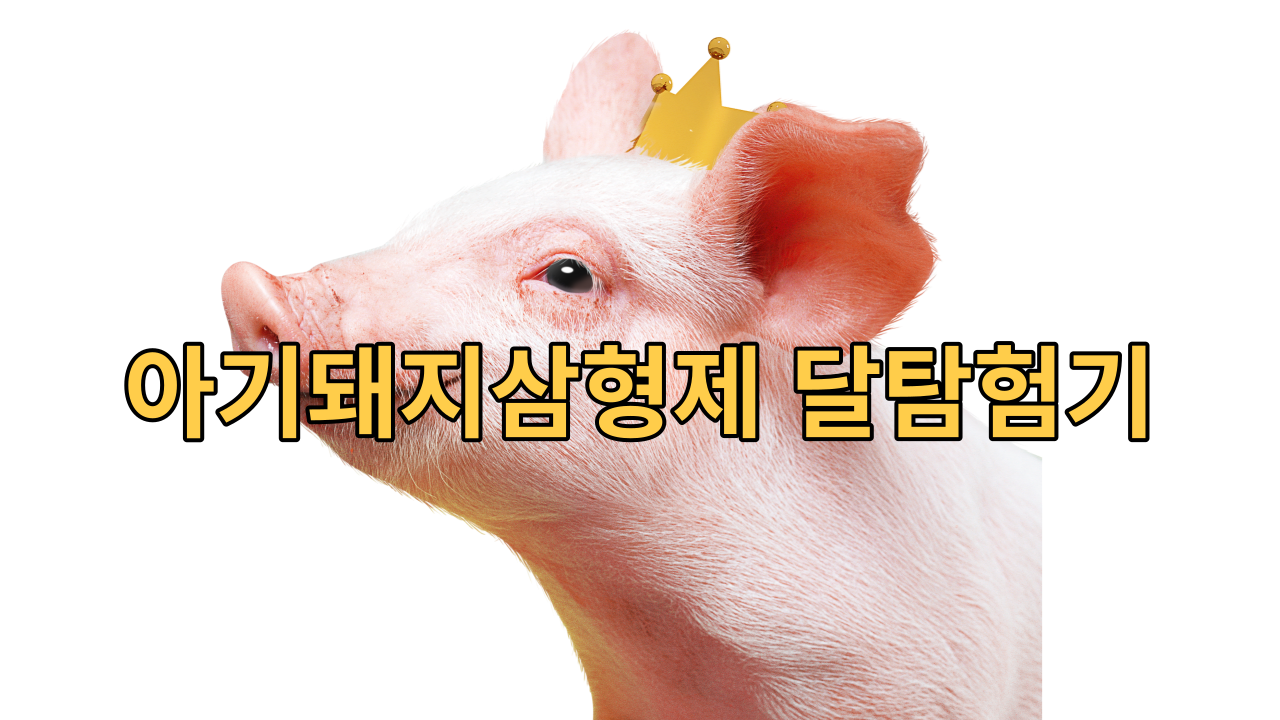  아기 돼지 삼형제, 달 탐험기