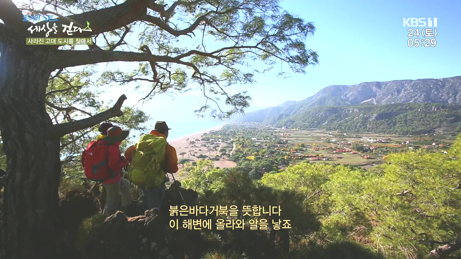 트레킹노트 세상을 걷다.E309.240224p.H264-F1RST.mp4_20240808_200201.174.jpg