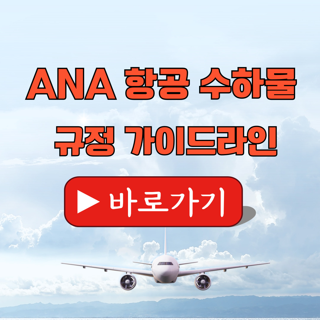 ANA수하물규정
