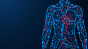 Prolonged Sitting Negatively Affects Vascular Health: Learn How to Protect Your Vascular System.