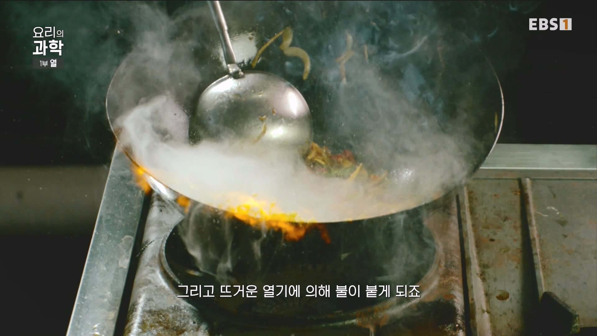 [다큐 스페셜] 요리의 과학 - 1부 열.mp4_20240411_194601.492.jpg